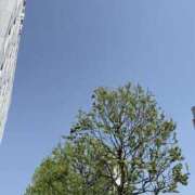 ヒメ日記 2025/04/21 12:08 投稿 ねむ One More奥様　厚木店