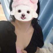 ヒメ日記 2025/04/19 13:04 投稿 るり 沖縄ちゃんこ那覇店