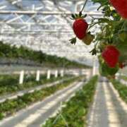 ヒメ日記 2025/02/24 18:57 投稿 ゆあ あとりえ(ATELIER)