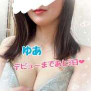 ヒメ日記 2025/02/27 00:42 投稿 ゆあ あとりえ(ATELIER)