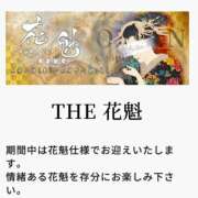 ヒメ日記 2025/03/09 20:02 投稿 ゆあ あとりえ(ATELIER)