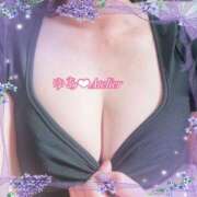 ヒメ日記 2025/11/02 21:47 投稿 ゆあ あとりえ(ATELIER)