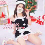 ヒメ日記 2025/12/15 09:24 投稿 ゆあ あとりえ(ATELIER)