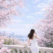 ヒメ日記 2026/02/19 16:18 投稿 ゆあ あとりえ(ATELIER)