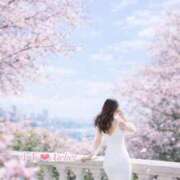 ヒメ日記 2026/03/28 06:00 投稿 ゆあ あとりえ(ATELIER)