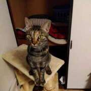 ヒメ日記 2025/03/09 10:52 投稿 なみか 熟女の風俗最終章 新宿店