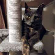 ヒメ日記 2025/03/20 10:30 投稿 なみか 熟女の風俗最終章 新宿店