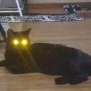 ヒメ日記 2025/04/13 21:12 投稿 なみか 熟女の風俗最終章 新宿店