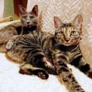 ヒメ日記 2025/05/01 21:24 投稿 なみか 熟女の風俗最終章 新宿店