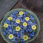 ヒメ日記 2025/05/25 09:42 投稿 なみか 熟女の風俗最終章 新宿店