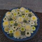 ヒメ日記 2025/05/28 18:42 投稿 なみか 熟女の風俗最終章 新宿店