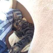 ヒメ日記 2025/03/16 09:28 投稿 なみか 熟女の風俗最終章 池袋店