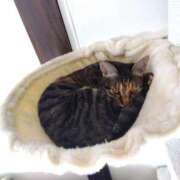 ヒメ日記 2025/03/26 16:34 投稿 なみか 熟女の風俗最終章 池袋店