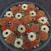 ヒメ日記 2025/05/26 09:22 投稿 なみか 熟女の風俗最終章 池袋店