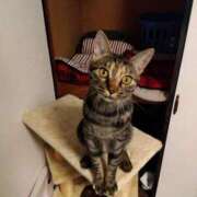 なみか なみかです🤭 熟女の風俗最終章 池袋店