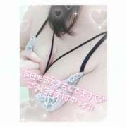 ヒメ日記 2025/06/15 08:54 投稿 せな 厚木人妻城