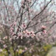 希島ひかり ฅ^•ω•^ฅ ドクトル・ストレッチ