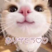 ヒメ日記 2025/04/18 00:48 投稿 りり 福岡ちゃんこ大牟田店