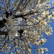 ヒメ日記 2026/03/15 07:56 投稿 あみ 人妻本舗愛のしずく名古屋店