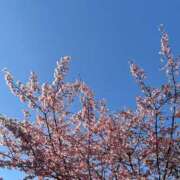 ヒメ日記 2026/03/20 07:38 投稿 あみ 人妻本舗愛のしずく名古屋店