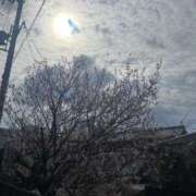 ヒメ日記 2025/03/31 14:59 投稿 秋本　まなか NADIA京都店