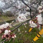 ヒメ日記 2025/04/03 10:48 投稿 秋本　まなか NADIA京都店