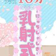 ヒメ日記 2026/04/06 09:33 投稿 あみ 人妻倶楽部　ひまわり