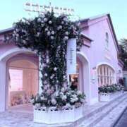 あお・SP 🙇🏻‍♀️´- やまとなでしこ桜組