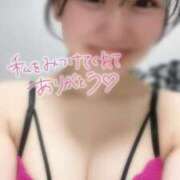 えび 理想の🥧💗？ 素人美少女専門　新横浜アンジェリーク（アンジェリークグループ）