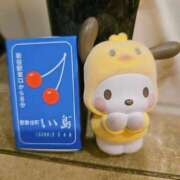 ヒメ日記 2025/09/10 15:59 投稿 れな 新宿プチドール