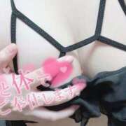 ヒメ日記 2025/02/24 12:20 投稿 クマノミ　隈魚 女の子市場