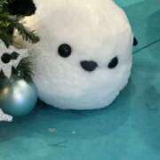 ヒメ日記 2025/03/04 16:45 投稿 かずは スピードエコ梅田店