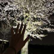 ヒメ日記 2025/03/22 09:55 投稿 かずは スピードエコ梅田店