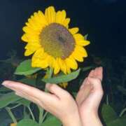 ヒメ日記 2025/06/25 15:16 投稿 かずは スピードエコ梅田店