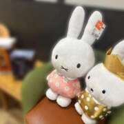 ヒメ日記 2025/08/03 15:15 投稿 かずは スピードエコ梅田店