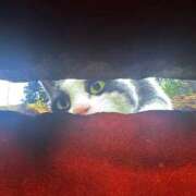 ヒメ日記 2025/09/29 23:08 投稿 かずは スピードエコ梅田店