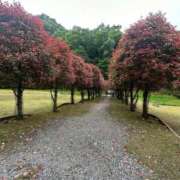 ヒメ日記 2025/09/29 23:18 投稿 かずは スピードエコ梅田店