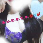 ヒメ日記 2025/06/16 11:50 投稿 桃菜(ももな) エッチな熟女(広島)