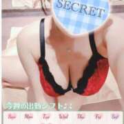 ヒメ日記 2025/05/26 19:38 投稿 ♡ミルク MEGA PALACE(メガパレス）