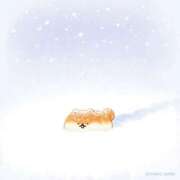 ヒメ日記 2025/12/28 16:23 投稿 ♡ミルク MEGA PALACE(メガパレス）