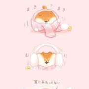 ヒメ日記 2025/12/31 06:13 投稿 ♡ミルク MEGA PALACE(メガパレス）