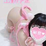 ♡ミルク 出勤予定🗓️ MEGA PALACE(メガパレス）