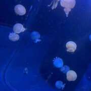 ヒメ日記 2026/06/20 14:13 投稿 ♡ミルク MEGA PALACE(メガパレス）