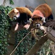 ヒメ日記 2025/02/22 08:54 投稿 東のぞみ 日暮里ド淫乱倶楽部