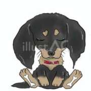 ヒメ日記 2025/03/12 23:07 投稿 ほなみ 岐阜岐南各務原ちゃんこ