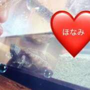 ヒメ日記 2025/05/17 02:07 投稿 ほなみ 岐阜岐南各務原ちゃんこ