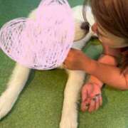 ヒメ日記 2025/06/12 19:57 投稿 ほなみ 岐阜岐南各務原ちゃんこ