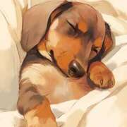 ヒメ日記 2025/08/24 23:17 投稿 ほなみ 岐阜岐南各務原ちゃんこ