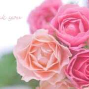 ヒメ日記 2025/09/27 00:27 投稿 ほなみ 岐阜岐南各務原ちゃんこ