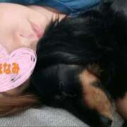 ヒメ日記 2025/10/27 12:27 投稿 ほなみ 岐阜岐南各務原ちゃんこ